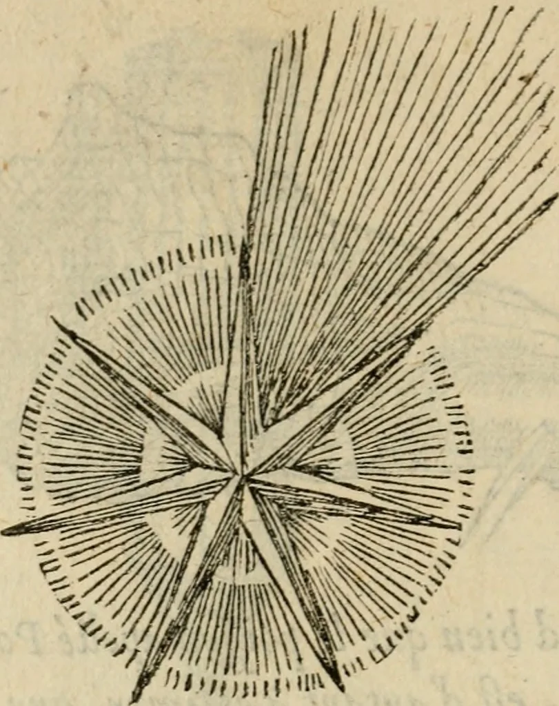 An illustration from Devises heroïqves, 1557, leaf 167