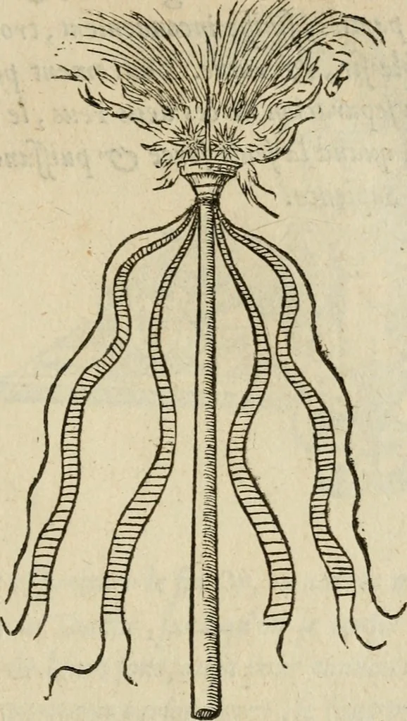 An illustration from Devises heroïqves, 1557, leaf 168