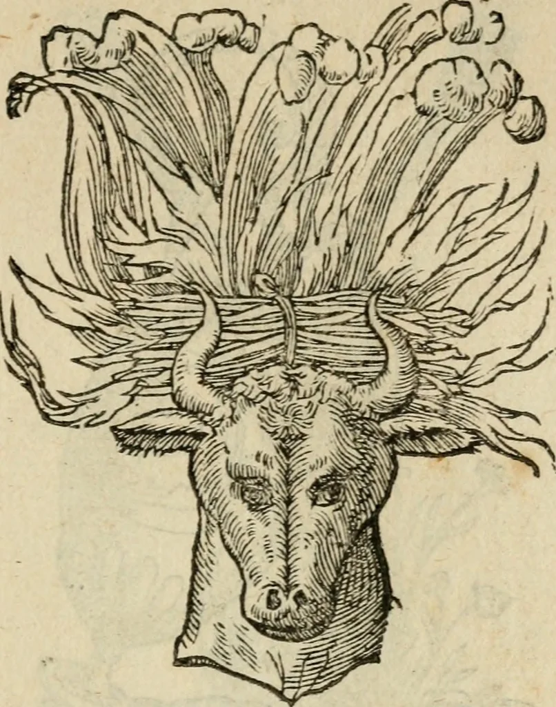 An illustration from Devises heroïqves, 1557, leaf 172