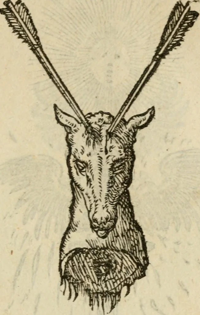 An illustration from Devises heroïqves, 1557, leaf 174