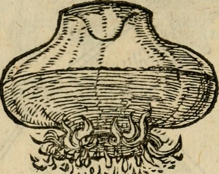 An illustration from Devises heroïqves, 1557, leaf 183