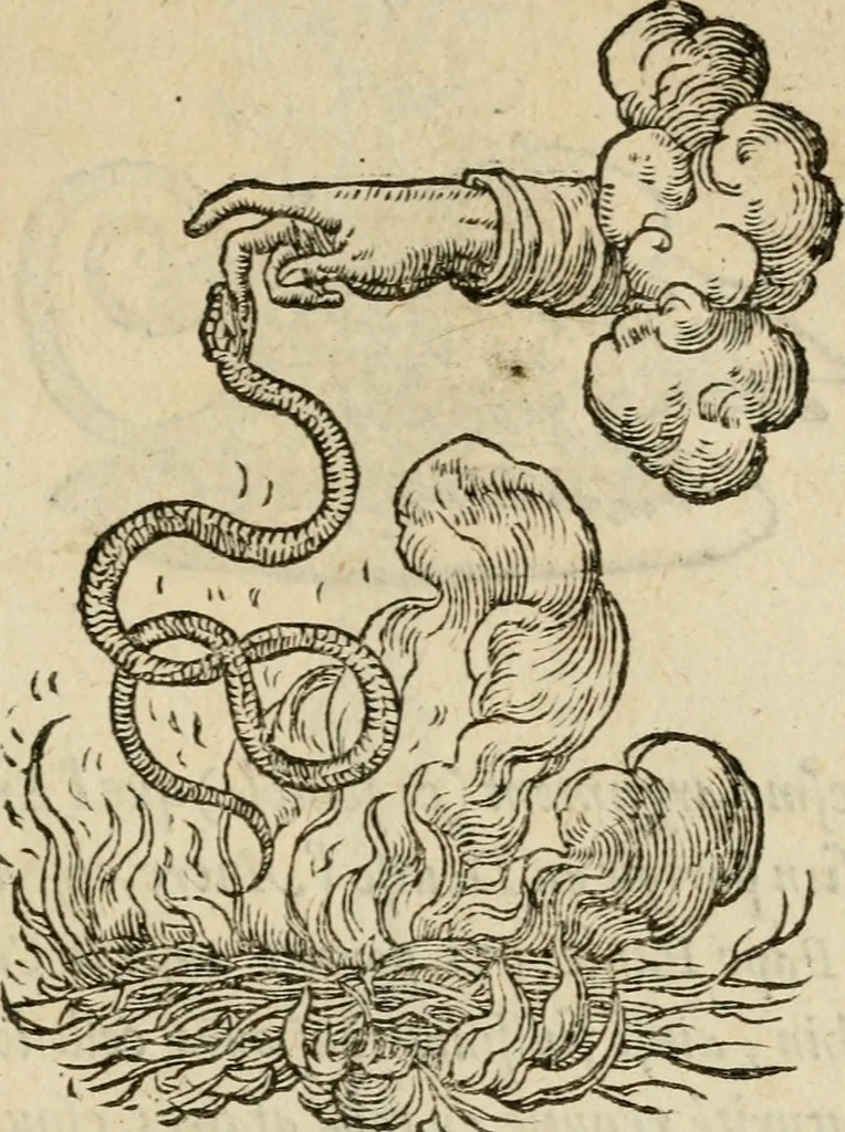 An illustration from Devises heroïqves, 1557, leaf 190