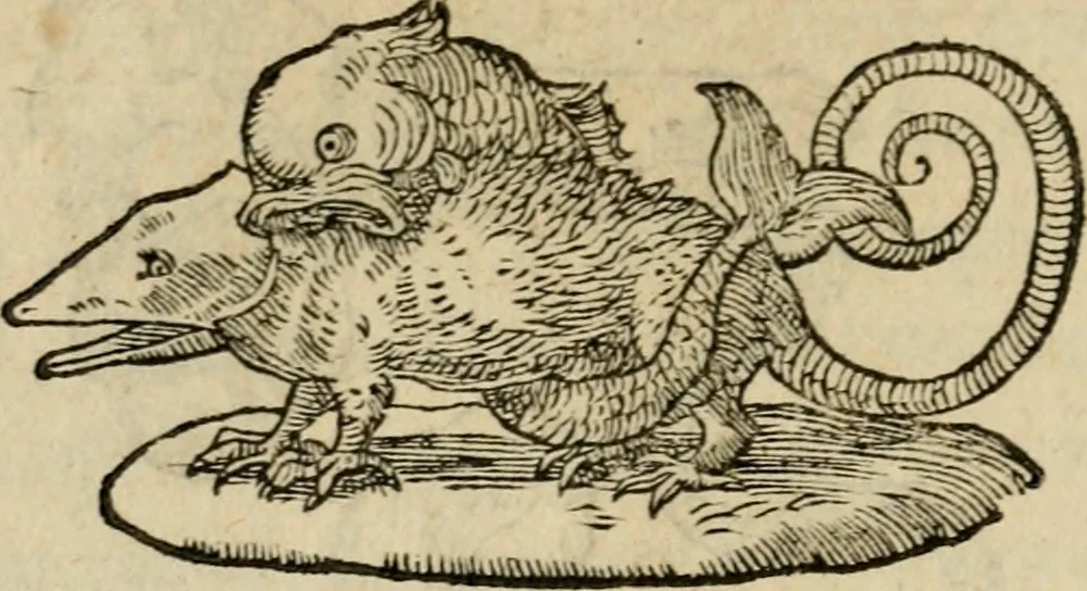 An illustration from Devises heroïqves, 1557, leaf 191