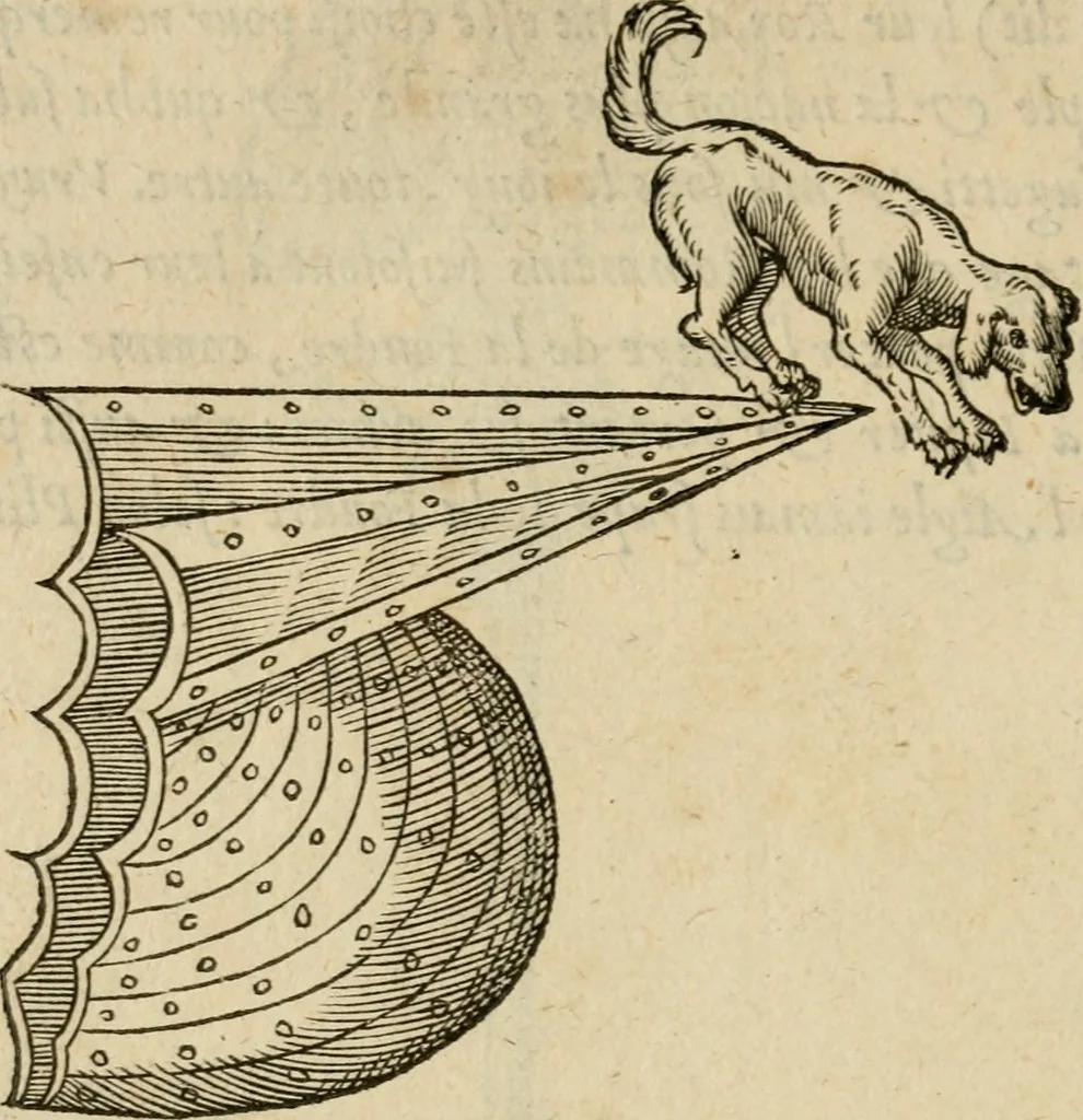 An illustration from Devises heroïqves, 1557, leaf 199