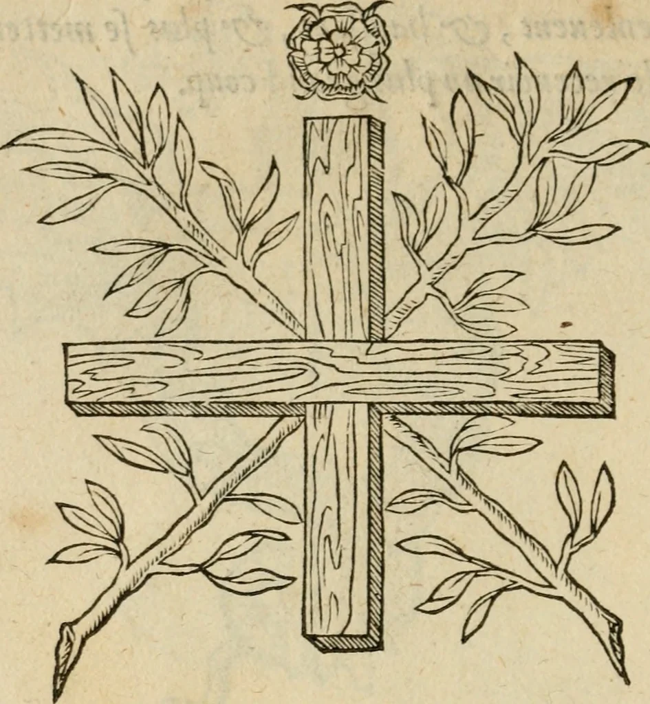 An illustration from Devises heroïqves, 1557, leaf 207