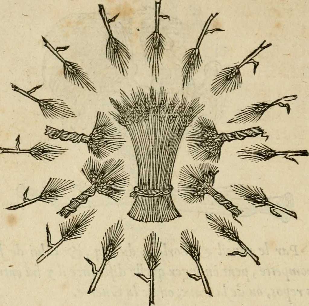 An illustration from Devises heroïqves, 1557, leaf 213