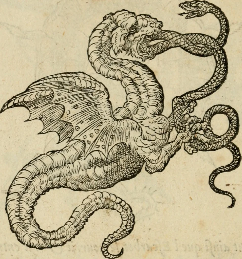 An illustration from Devises heroïqves, 1557, leaf 219