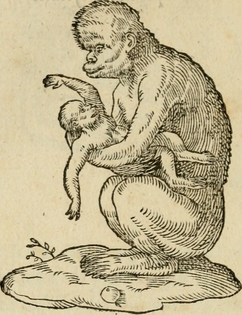 An illustration from Devises heroïqves, 1557, leaf 229