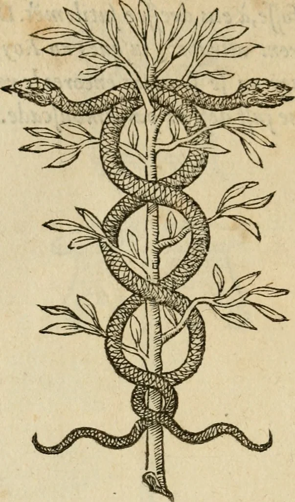 An illustration from Devises heroïqves, 1557, leaf 237