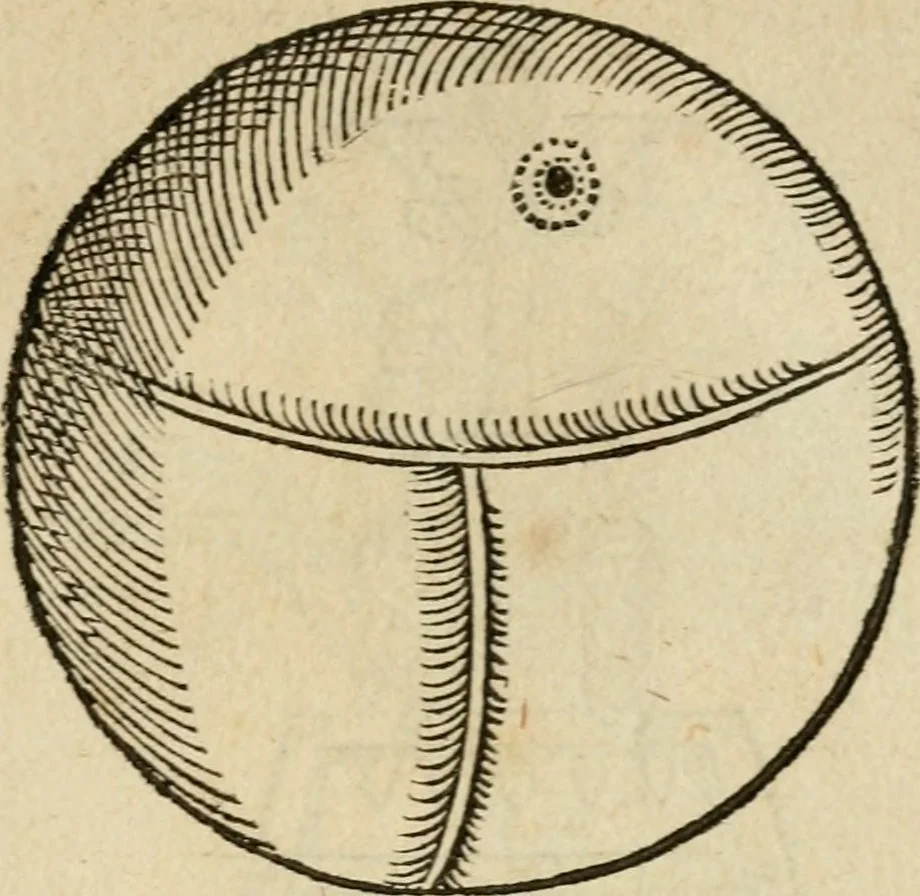 An illustration from Devises heroïqves, 1557, leaf 240