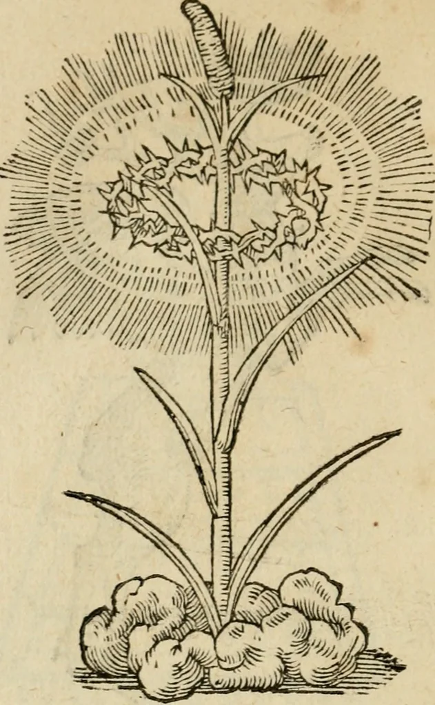 An illustration from Devises heroïqves, 1557, leaf 243