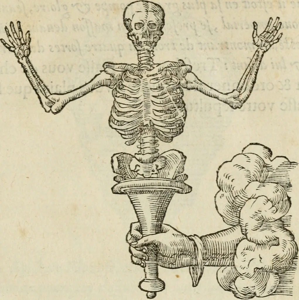 An illustration from Devises heroïqves, 1557, leaf 258