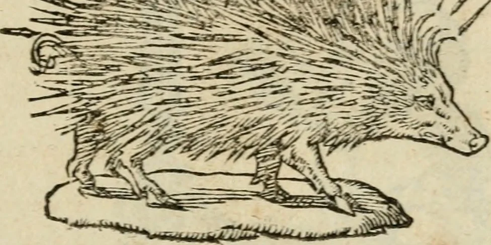 An illustration from Devises heroïqves, 1557, leaf 28