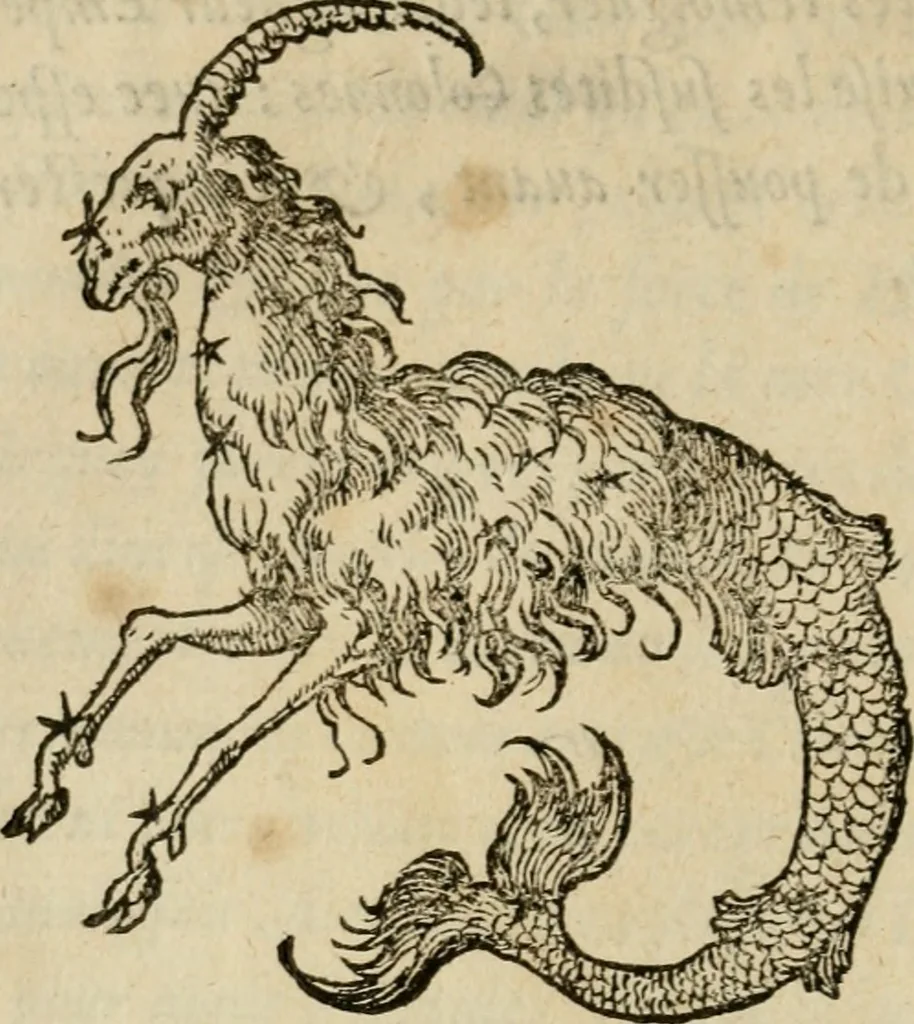An illustration from Devises heroïqves, 1557, leaf 35