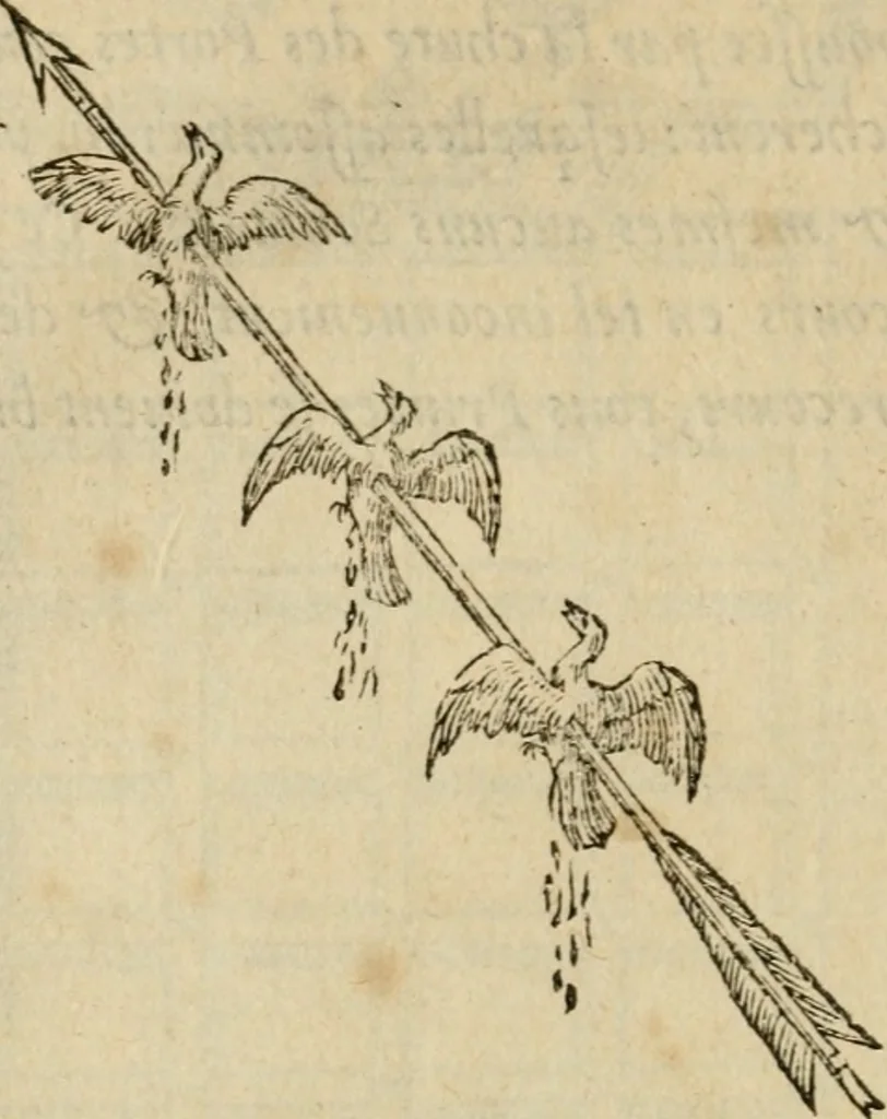 An illustration from Devises heroïqves, 1557, leaf 41