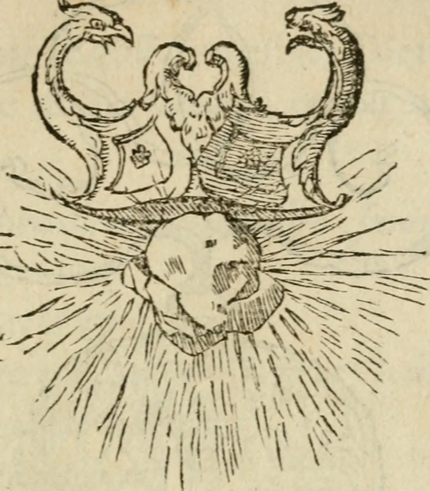 An illustration from Devises heroïqves, 1557, leaf 46