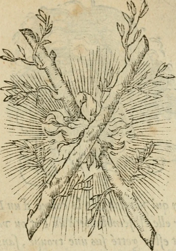 An illustration from Devises heroïqves, 1557, leaf 50