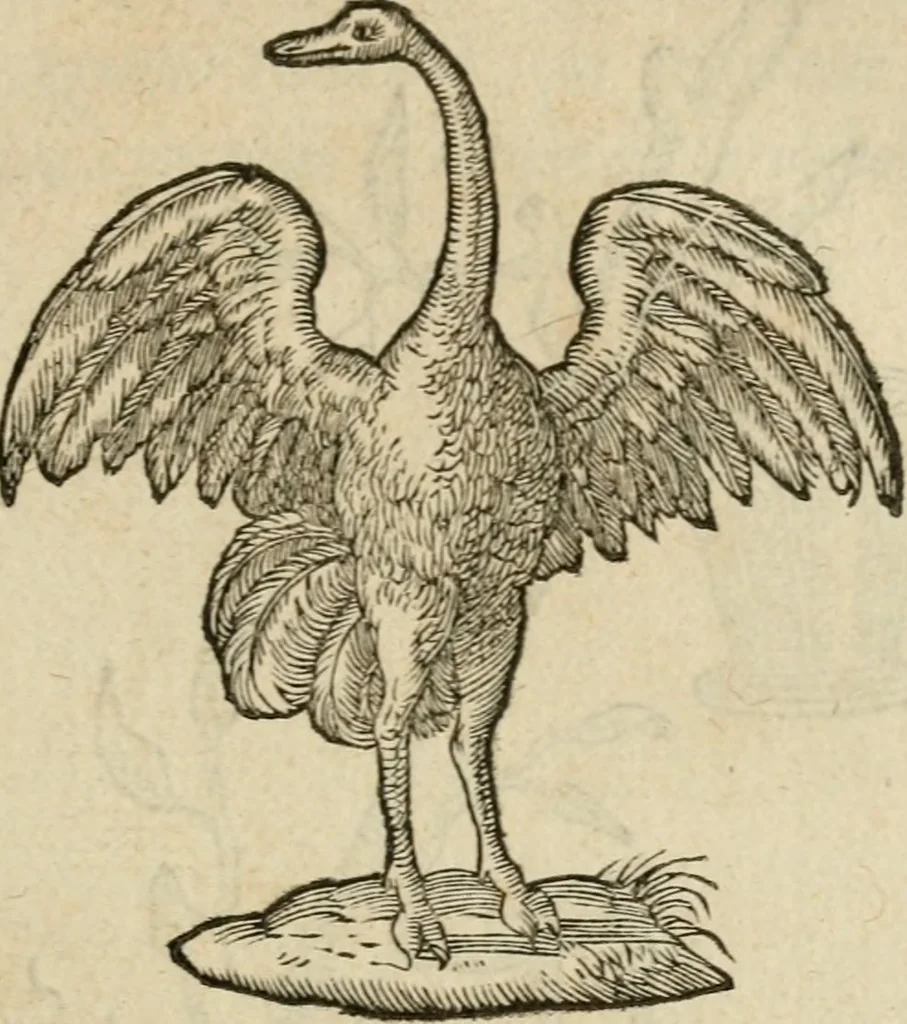 An illustration from Devises heroïqves, 1557, leaf 52