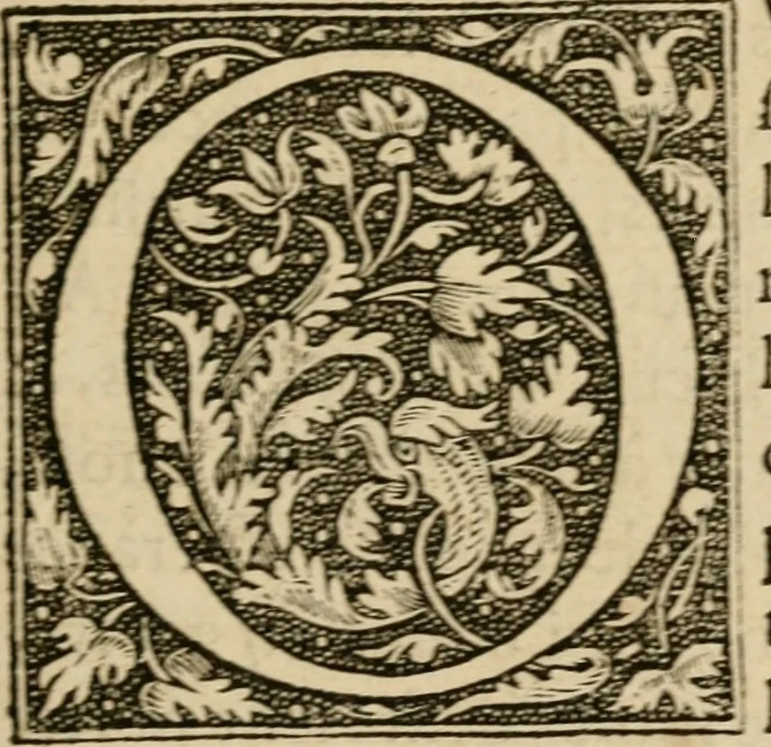 An illustration from Devises heroïqves, 1557, leaf 6