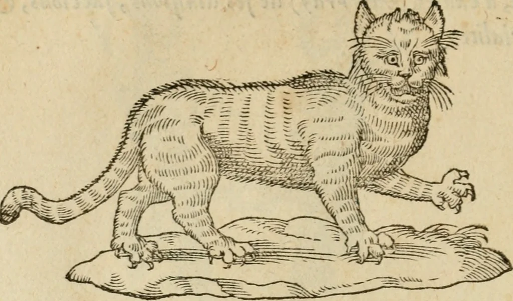 An illustration from Devises heroïqves, 1557, leaf 65