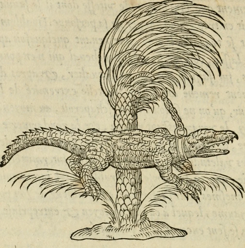 An illustration from Devises heroïqves, 1557, leaf 71