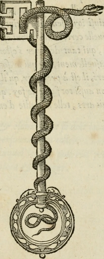 An illustration from Devises heroïqves, 1557, leaf 80