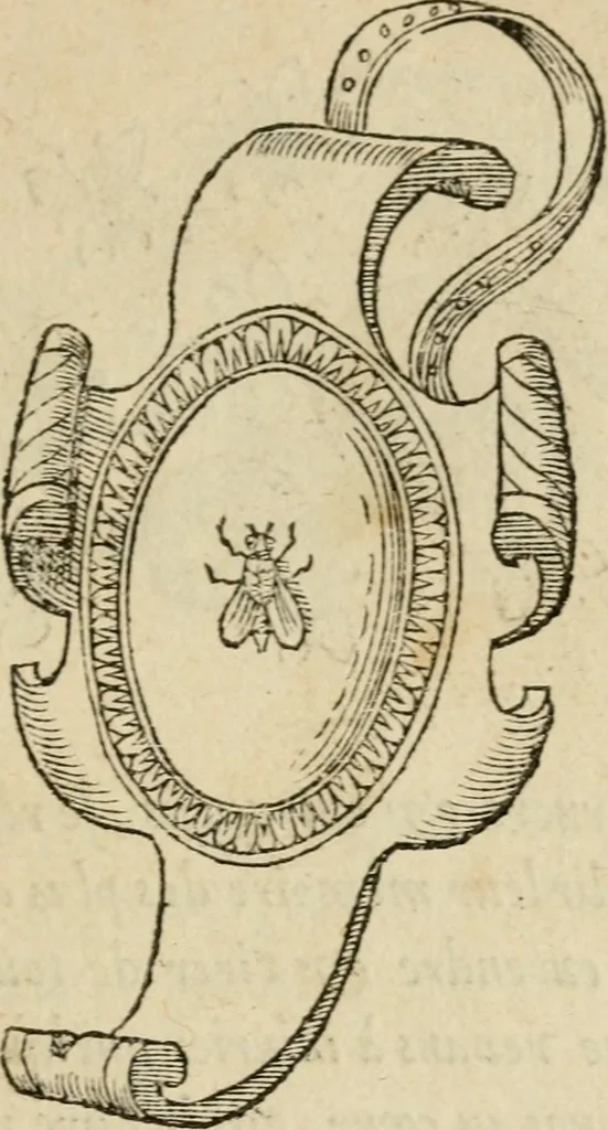 An illustration from Devises heroïqves, 1557, leaf 86