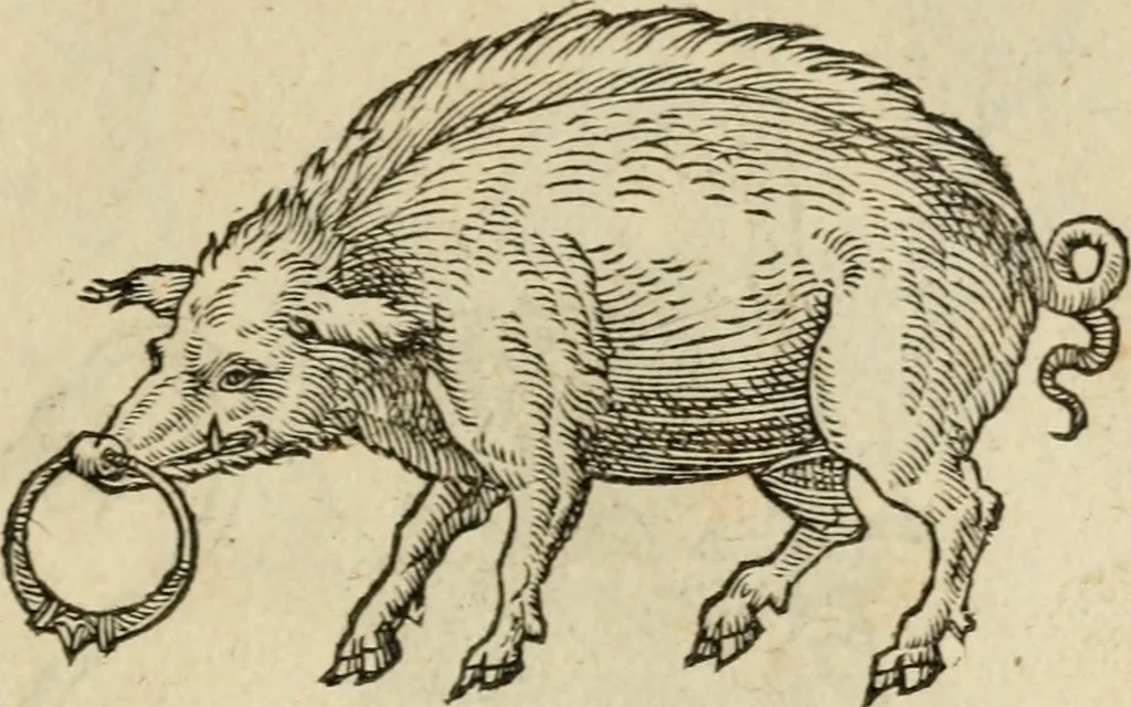 An illustration from Devises heroïqves, 1557, leaf 88