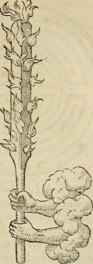 An illustration from Devises heroïqves, 1557, leaf 96