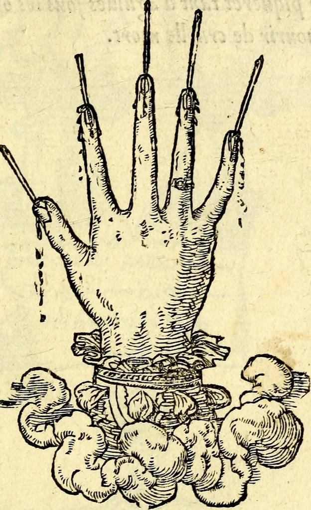 An illustration from Devises heroïqves, 1557, leaf 104
