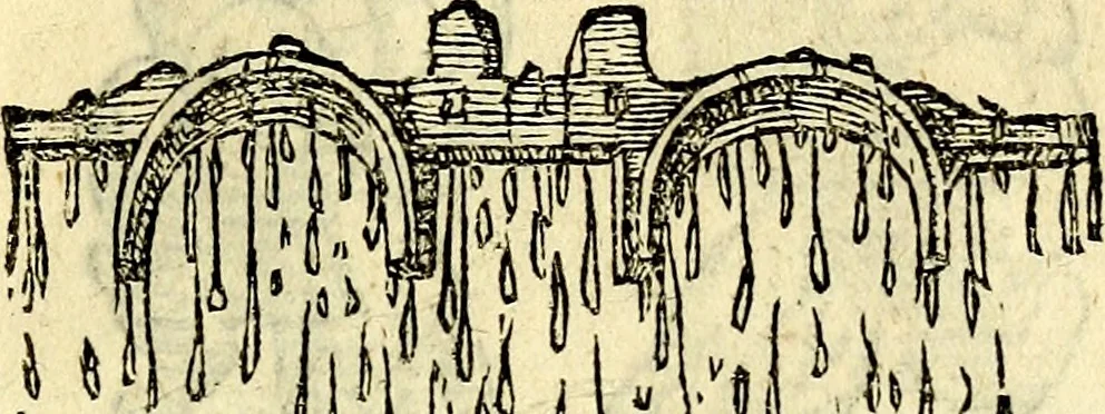 An illustration from Devises heroïqves, 1557, leaf 116