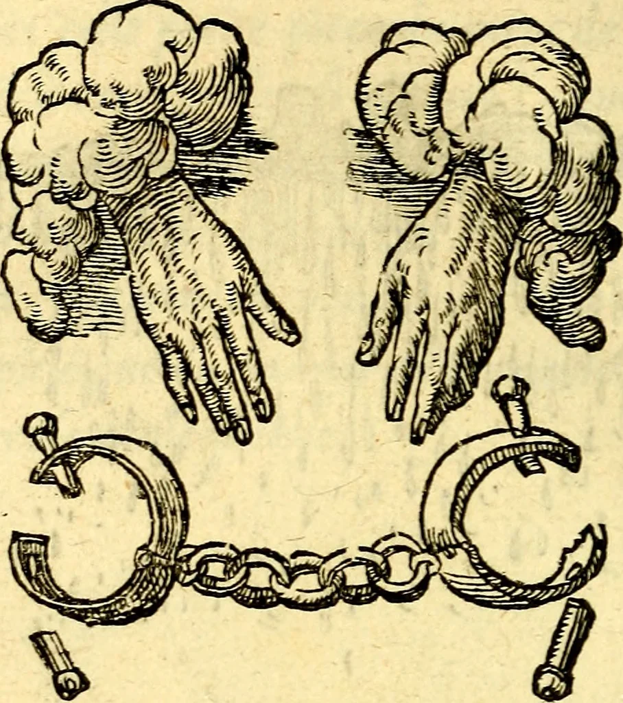 An illustration from Devises heroïqves, 1557, leaf 117