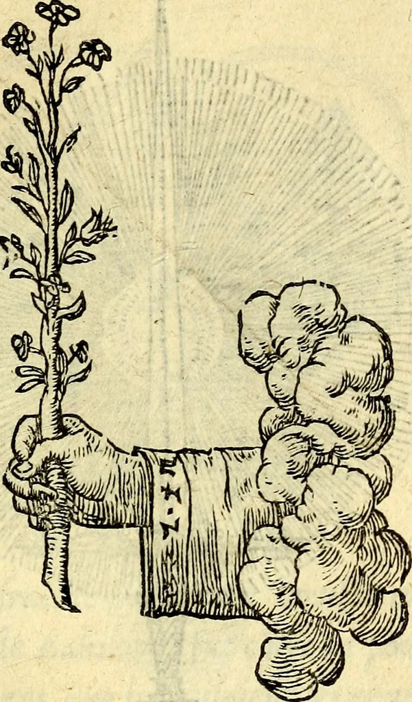 An illustration from Devises heroïqves, 1557, leaf 118