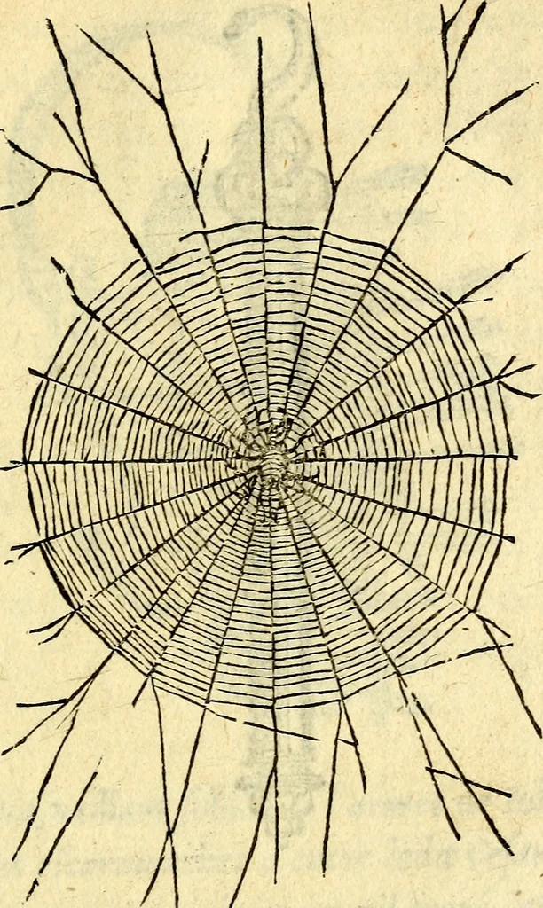 An illustration from Devises heroïqves, 1557, leaf 126