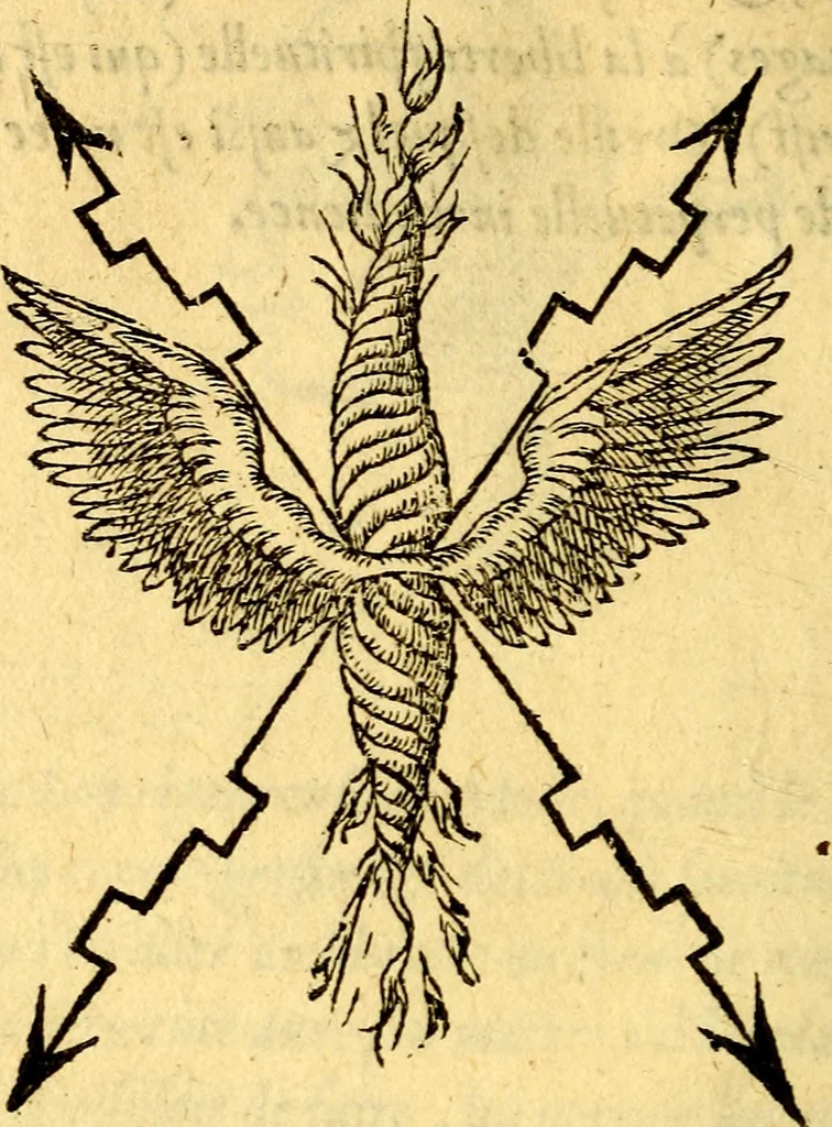 An illustration from Devises heroïqves, 1557, leaf 135
