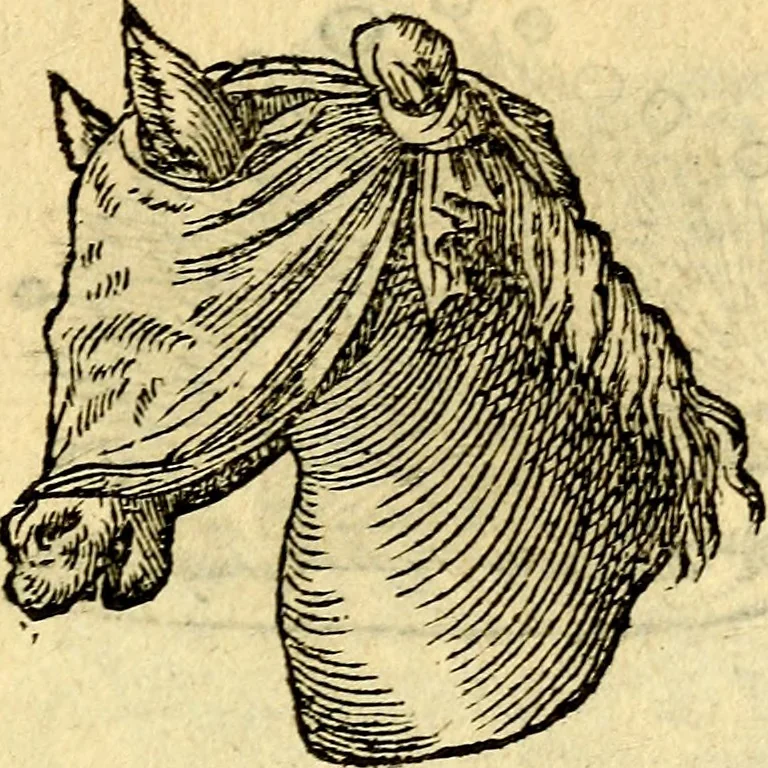 An illustration from Devises heroïqves, 1557, leaf 144