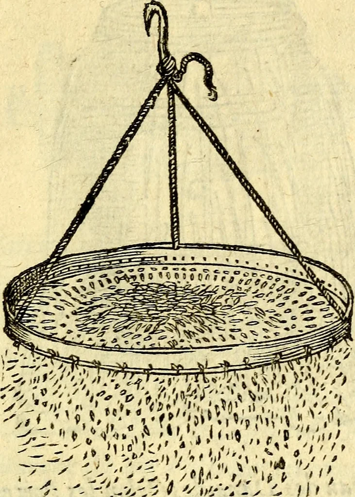 An illustration from Devises heroïqves, 1557, leaf 150