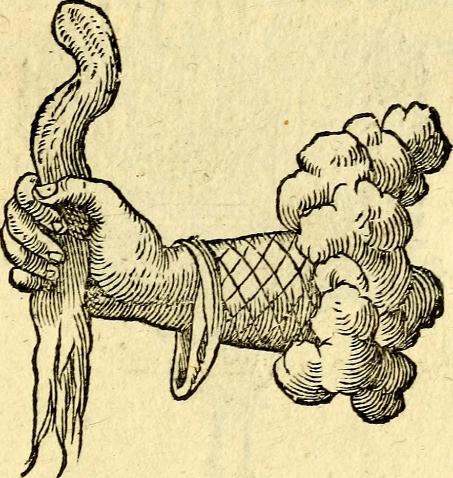 An illustration from Devises heroïqves, 1557, leaf 154