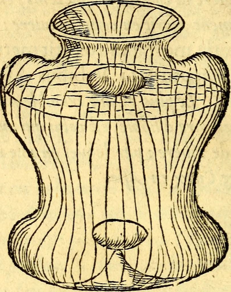 An illustration from Devises heroïqves, 1557, leaf 163