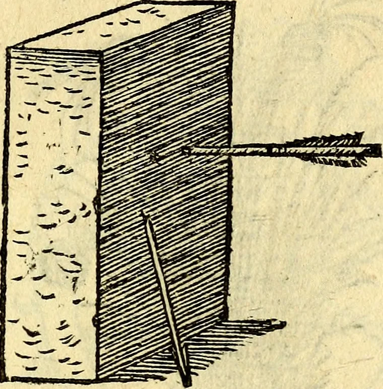 An illustration from Devises heroïqves, 1557, leaf 164