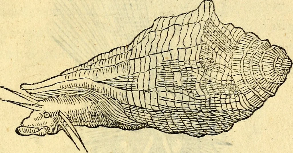 An illustration from Devises heroïqves, 1557, leaf 168