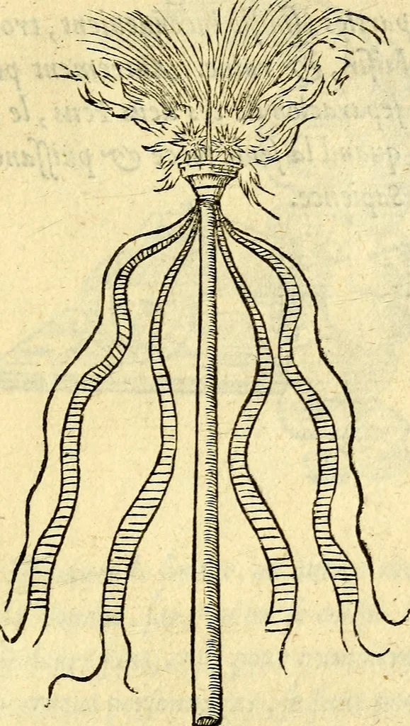 An illustration from Devises heroïqves, 1557, leaf 170