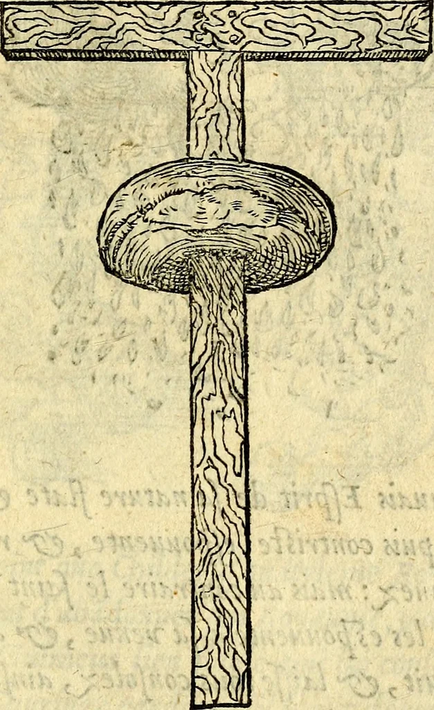 An illustration from Devises heroïqves, 1557, leaf 18