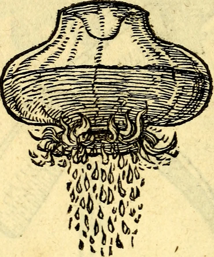 An illustration from Devises heroïqves, 1557, leaf 185
