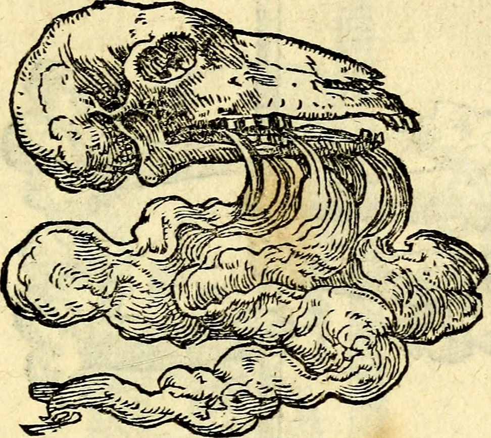 An illustration from Devises heroïqves, 1557, leaf 186