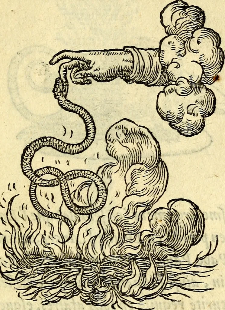 An illustration from Devises heroïqves, 1557, leaf 192