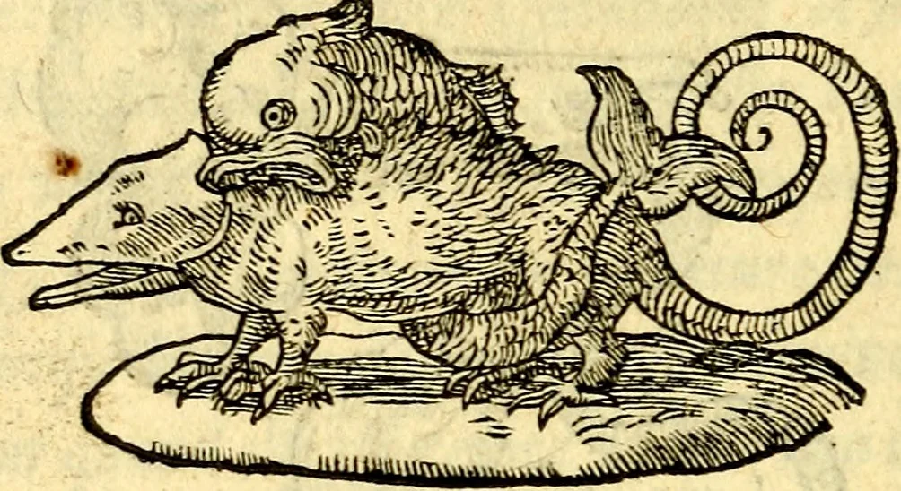 An illustration from Devises heroïqves, 1557, leaf 193