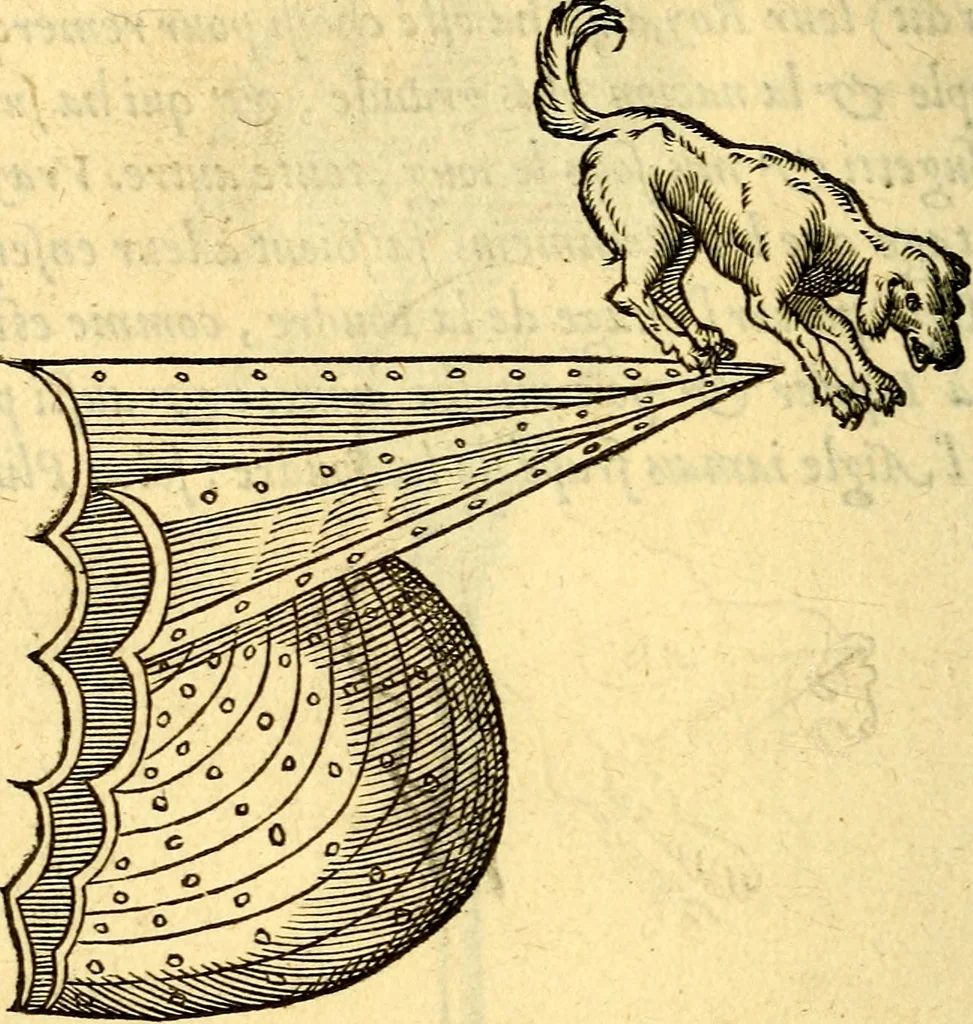 An illustration from Devises heroïqves, 1557, leaf 201
