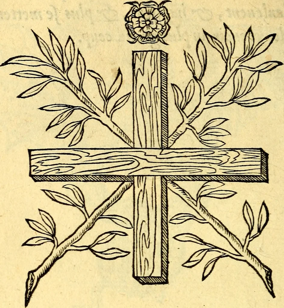 An illustration from Devises heroïqves, 1557, leaf 209