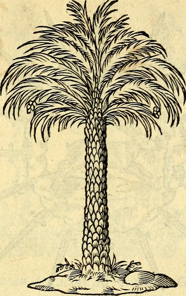 An illustration from Devises heroïqves, 1557, leaf 210